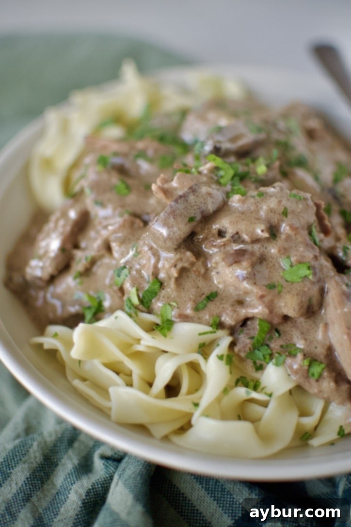 Easy Beef Stroganoff over a bed of egg noodles ready to eat.
