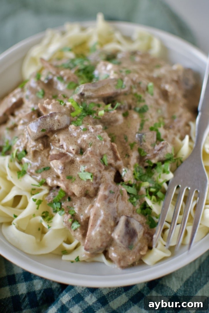Easy Beef Stroganoff over a bed of egg noodles ready to eat.