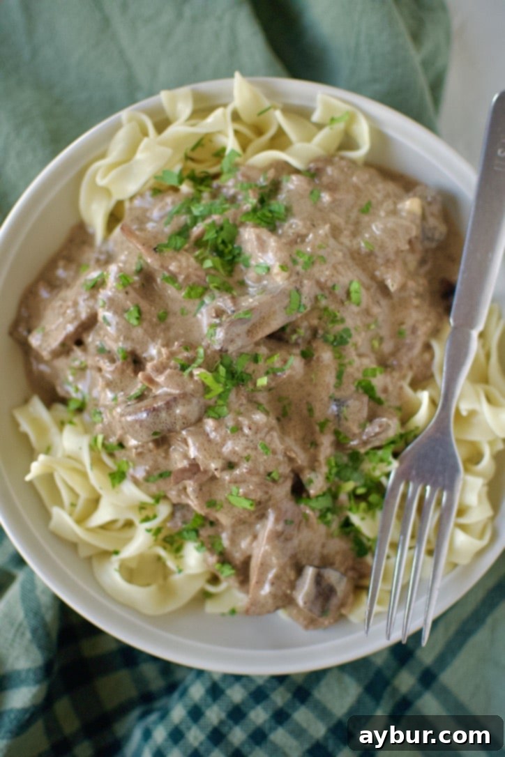 Easy Beef Stroganoff over a bed of egg noodles ready to eat.