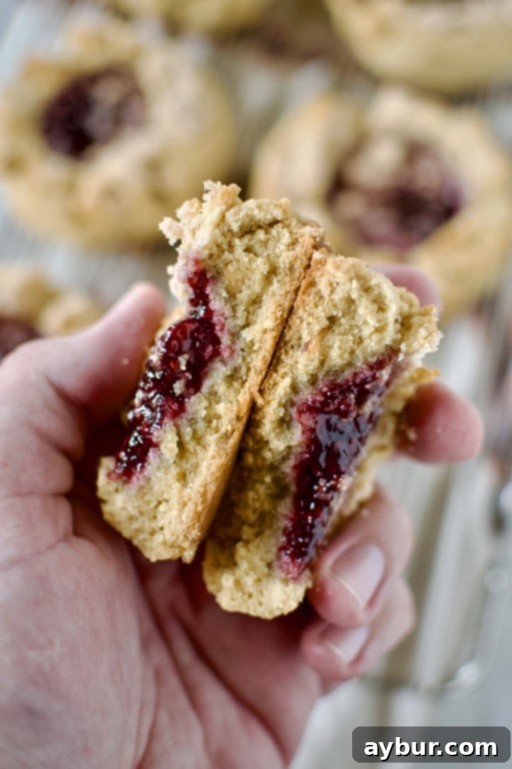 Peanut Butter Jelly Dream Cookies 14 A Peanut Butter and Jelly Cookie broken in half in a hand.