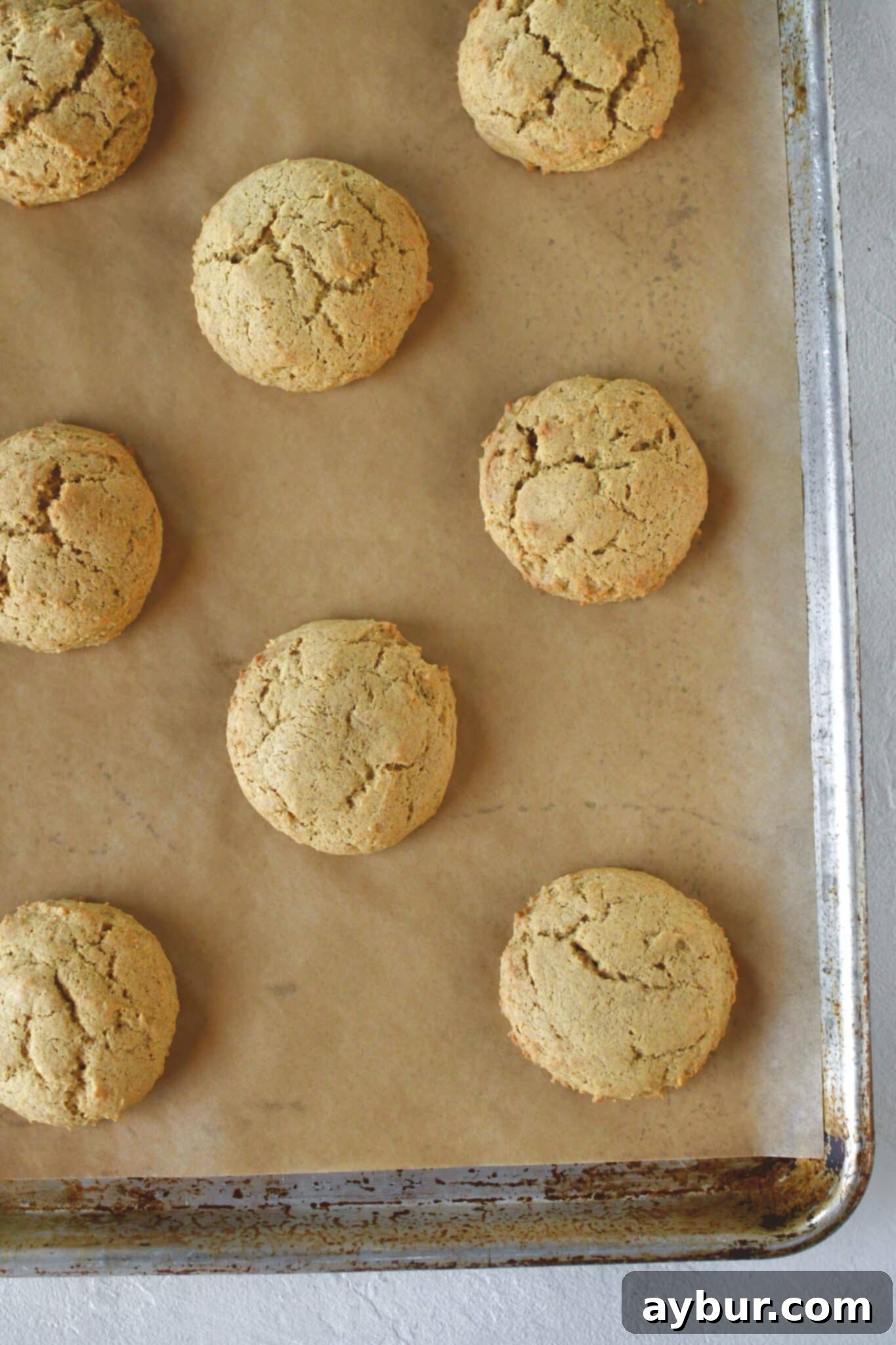 Whoopie pies on a sheet pan, after baking.