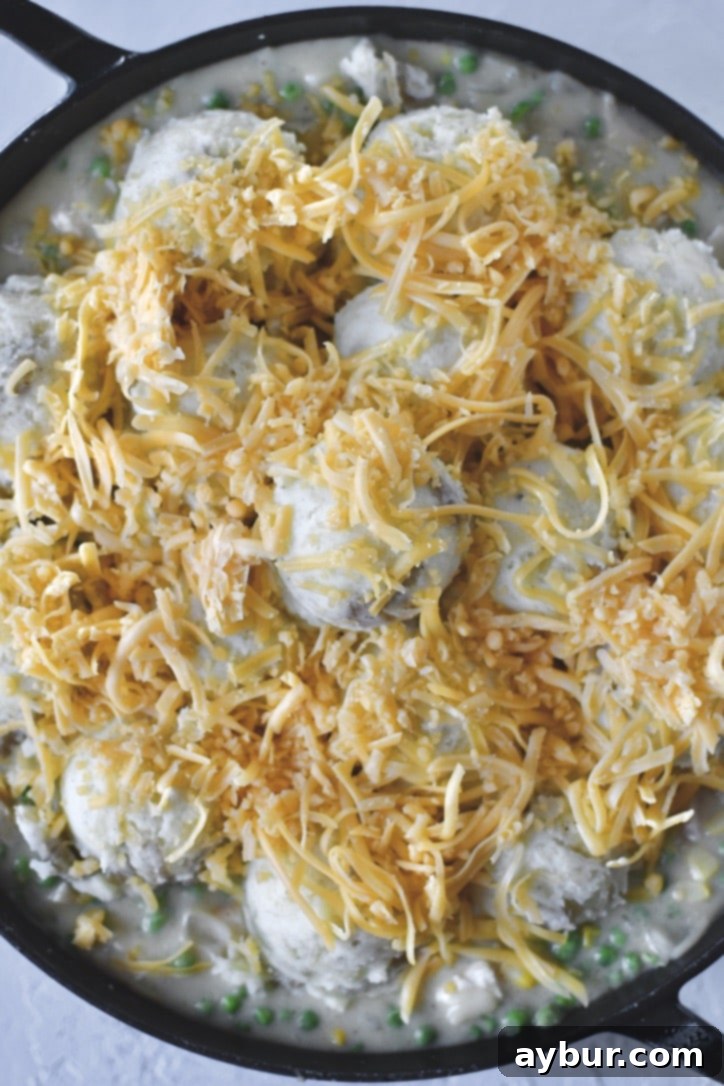 Golden Chicken Mash Bake 11 Topping the mashed potatoes with shredded cheddar cheese before baking. Orange cheese evenly distributed over the white potatoes.