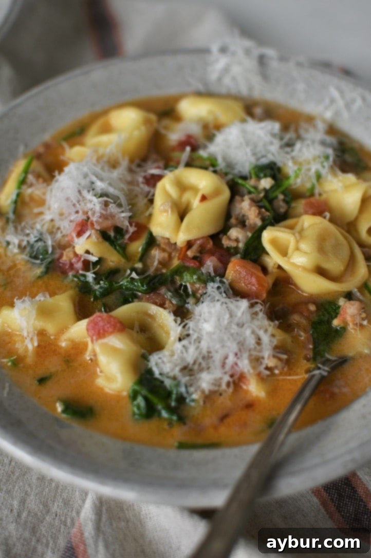 Creamy Sausage Tortellini Soup in a bowl with topped with finely shaved parmesan, ready to eat.