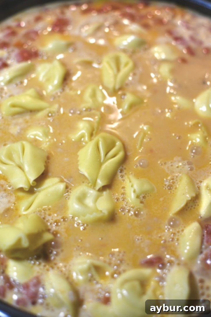 Adding the tortellini to the soup pot.