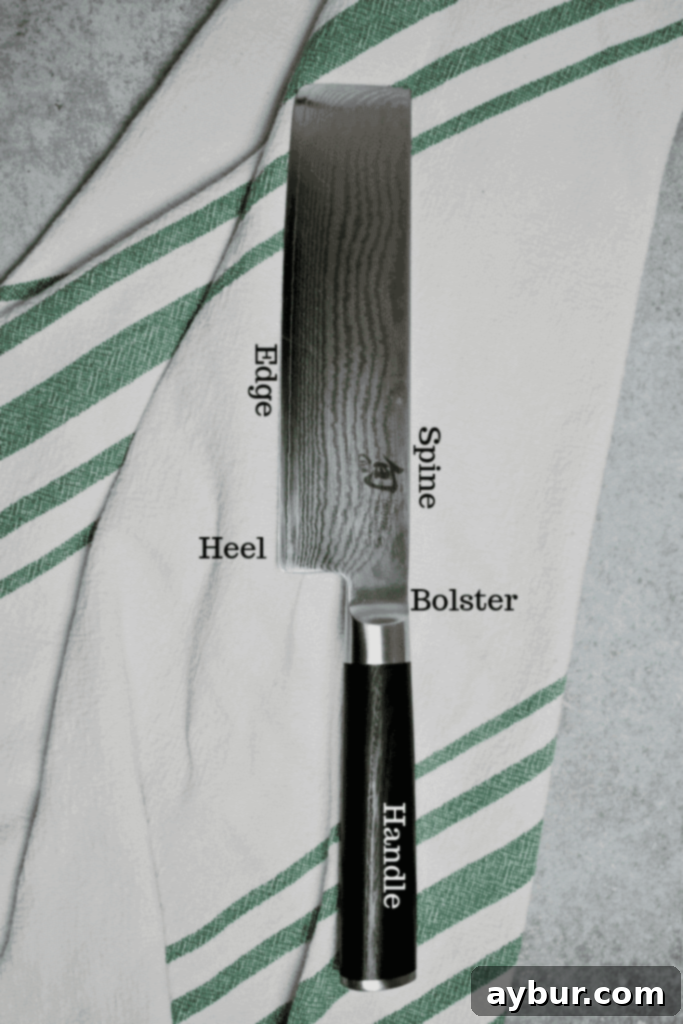 Anatomy of a kitchen knife illustrating bolster, blade, and handle