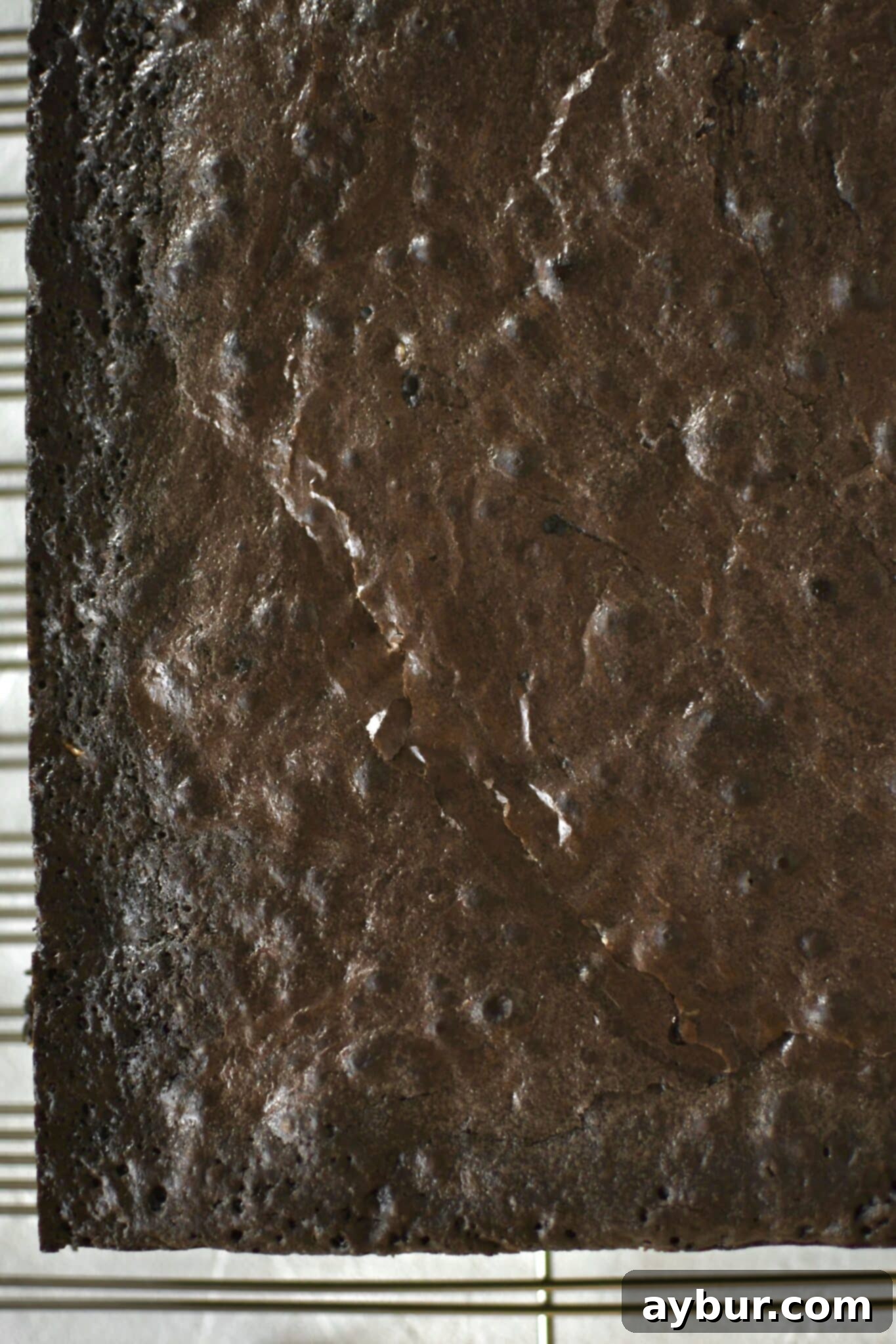 peanut butter brownies just out of the oven, fully baked.