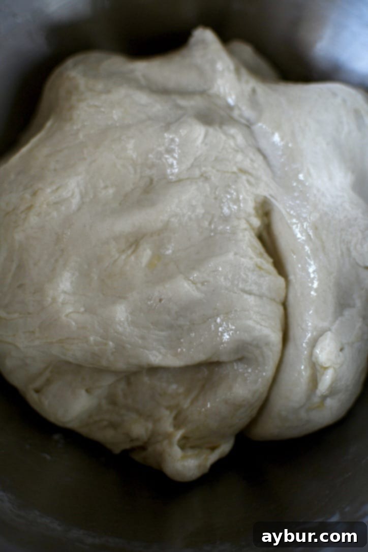 Perfect Homemade Calzone Dough 8 Fully kneaded dough that has been oil in a bowl ready to be rested and risen.