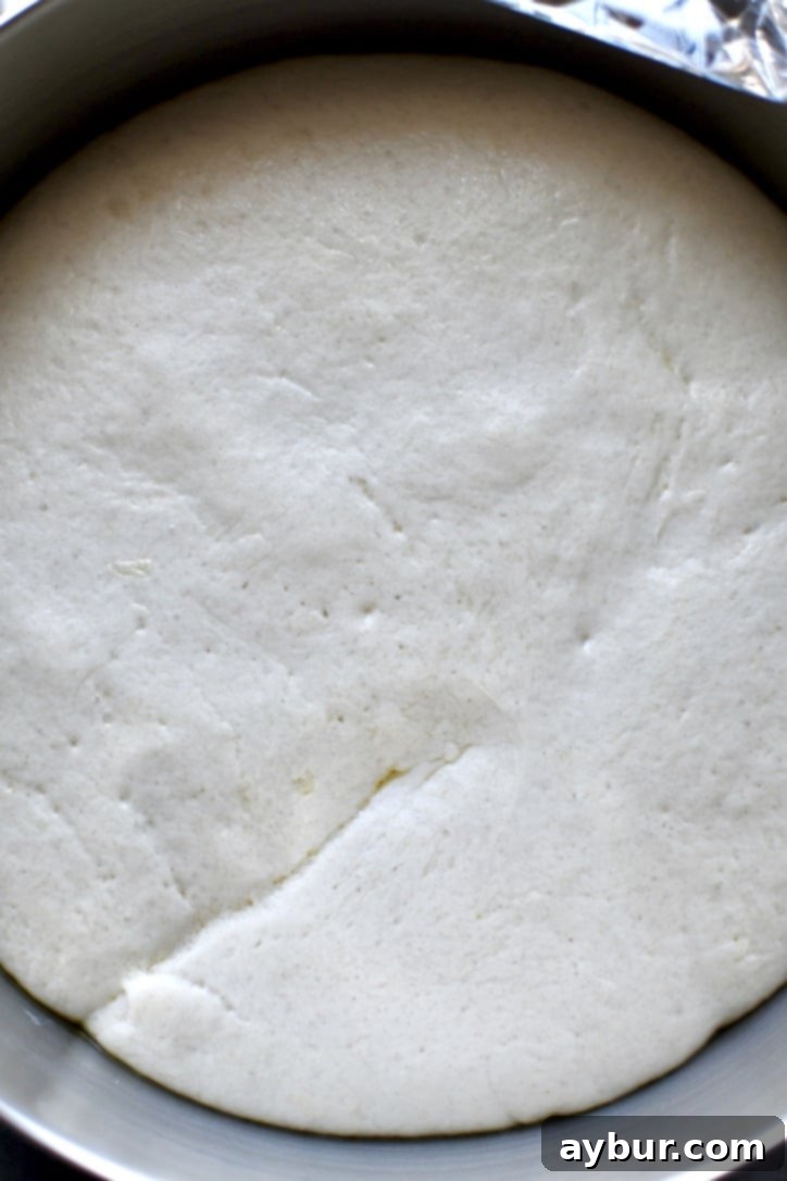 Perfect Homemade Calzone Dough 9 Fully rested and risen dough that has doubled in size.