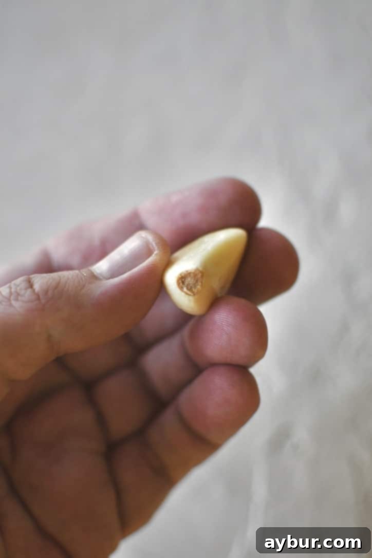 Velvety Garlic Confit 4 Individual garlic clove before the root end has been trimmed off.