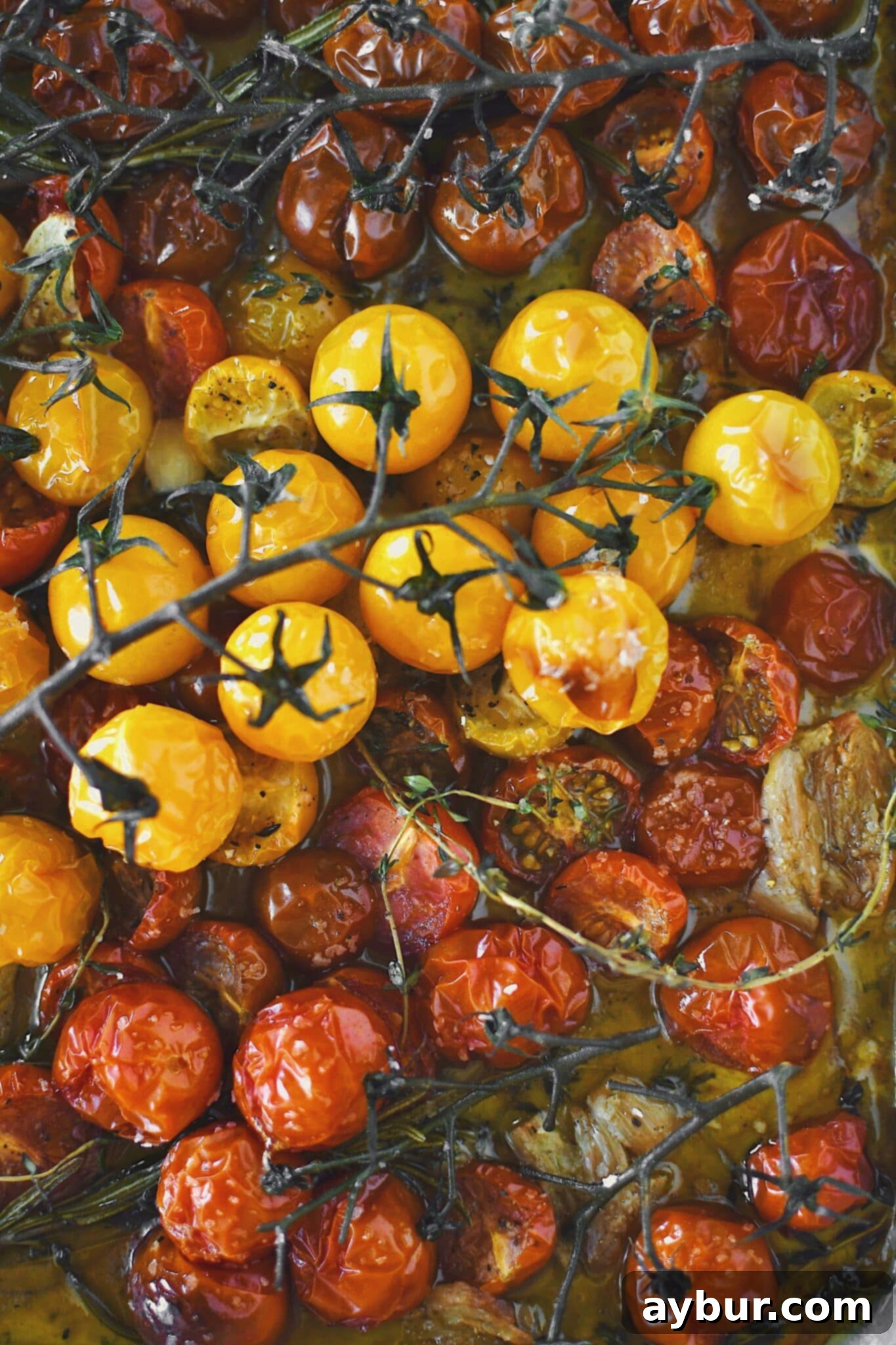 Beautifully roasted cherry tomatoes, garlic cloves, and fresh herbs, ready to be enjoyed.