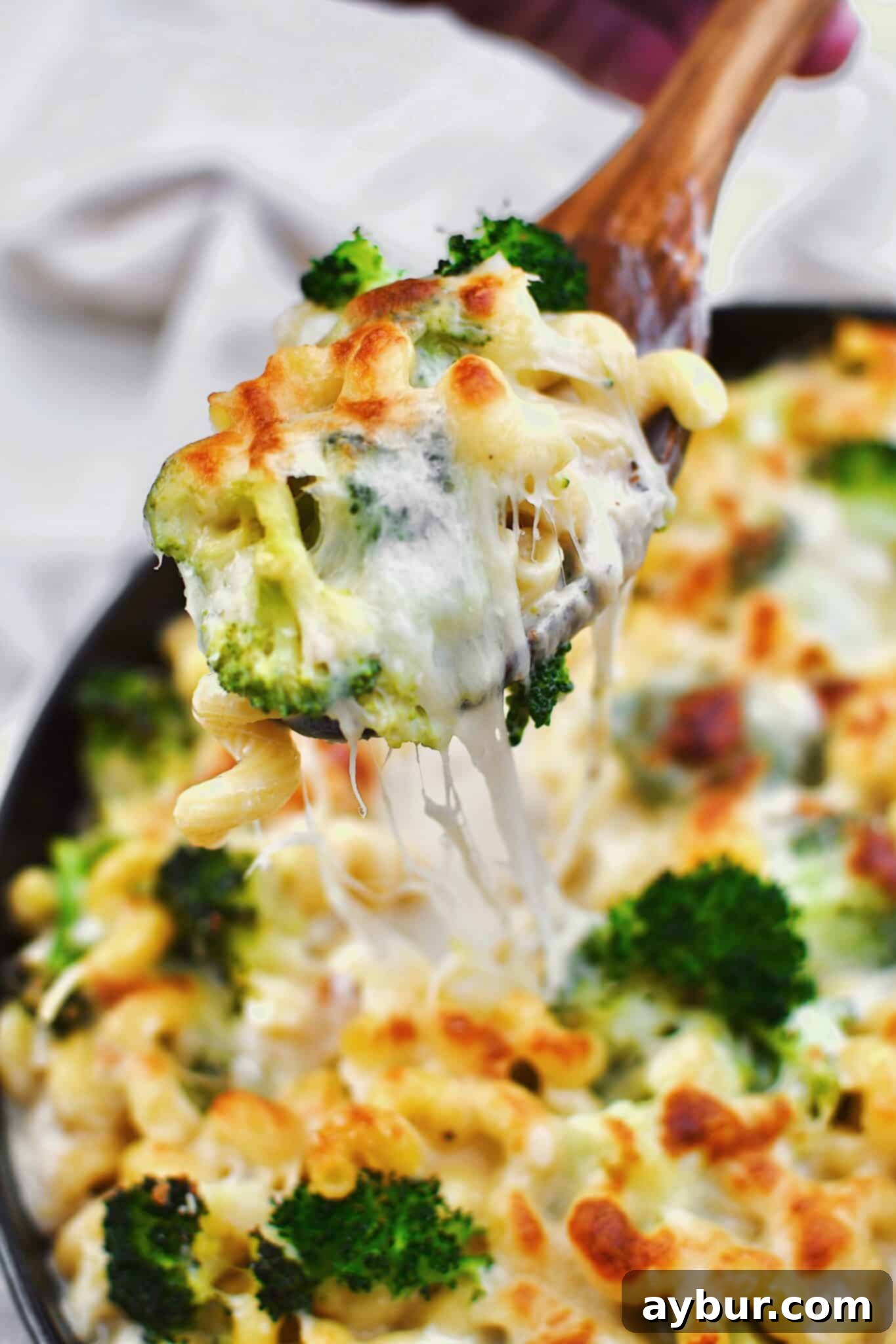 Alfredo Broccoli Pasta in the baking dish after baking to golden brown, spooning some out.