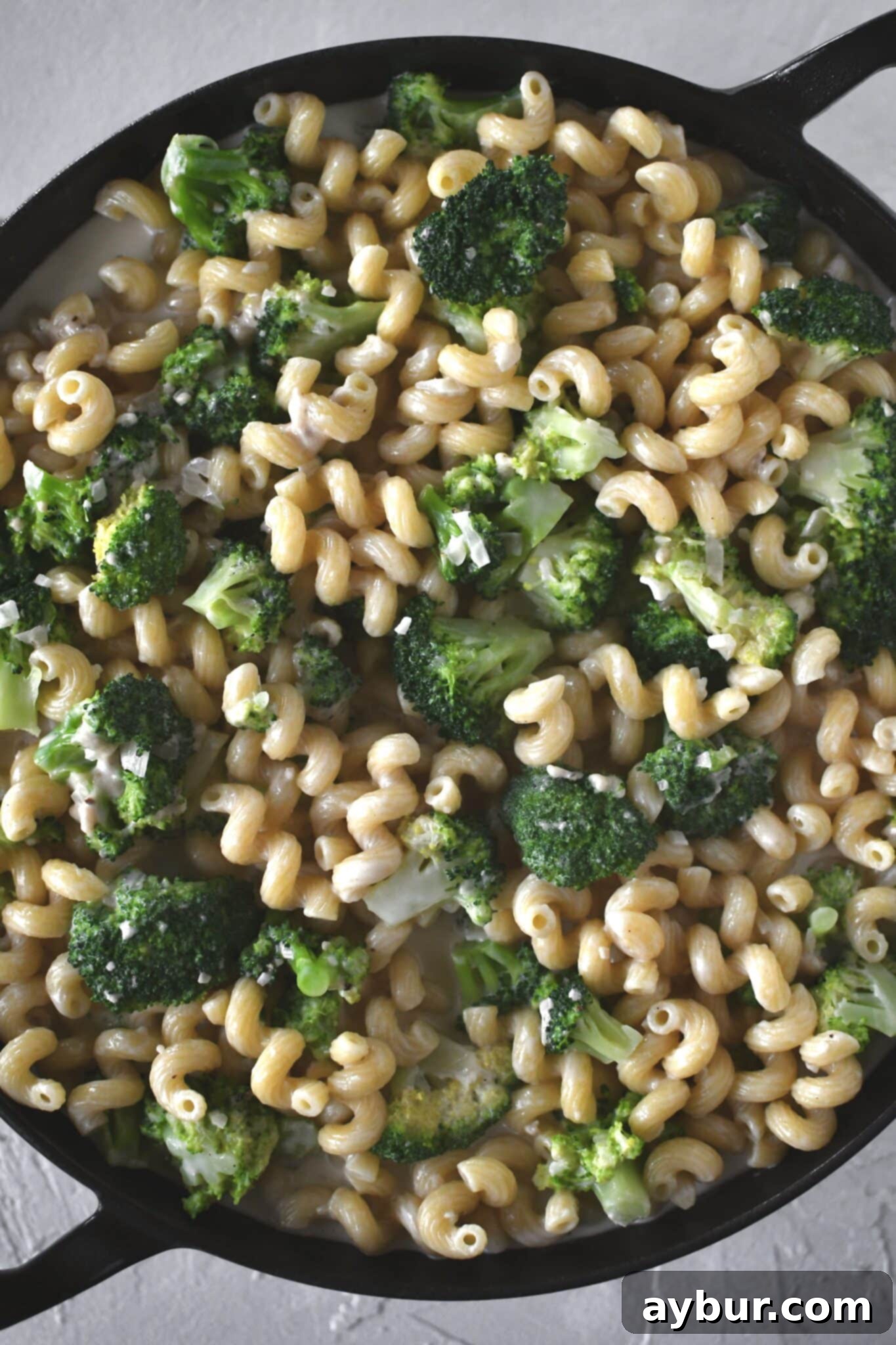 Tossed pasta and broccoli in sauce placed in the baking dish.