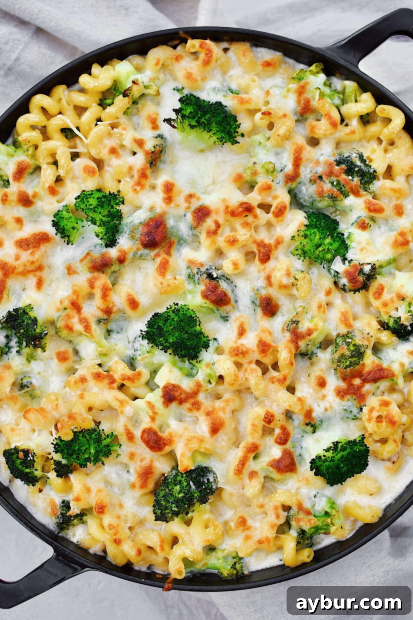 Alfredo Broccoli Pasta in the baking dish after baking to golden brown.