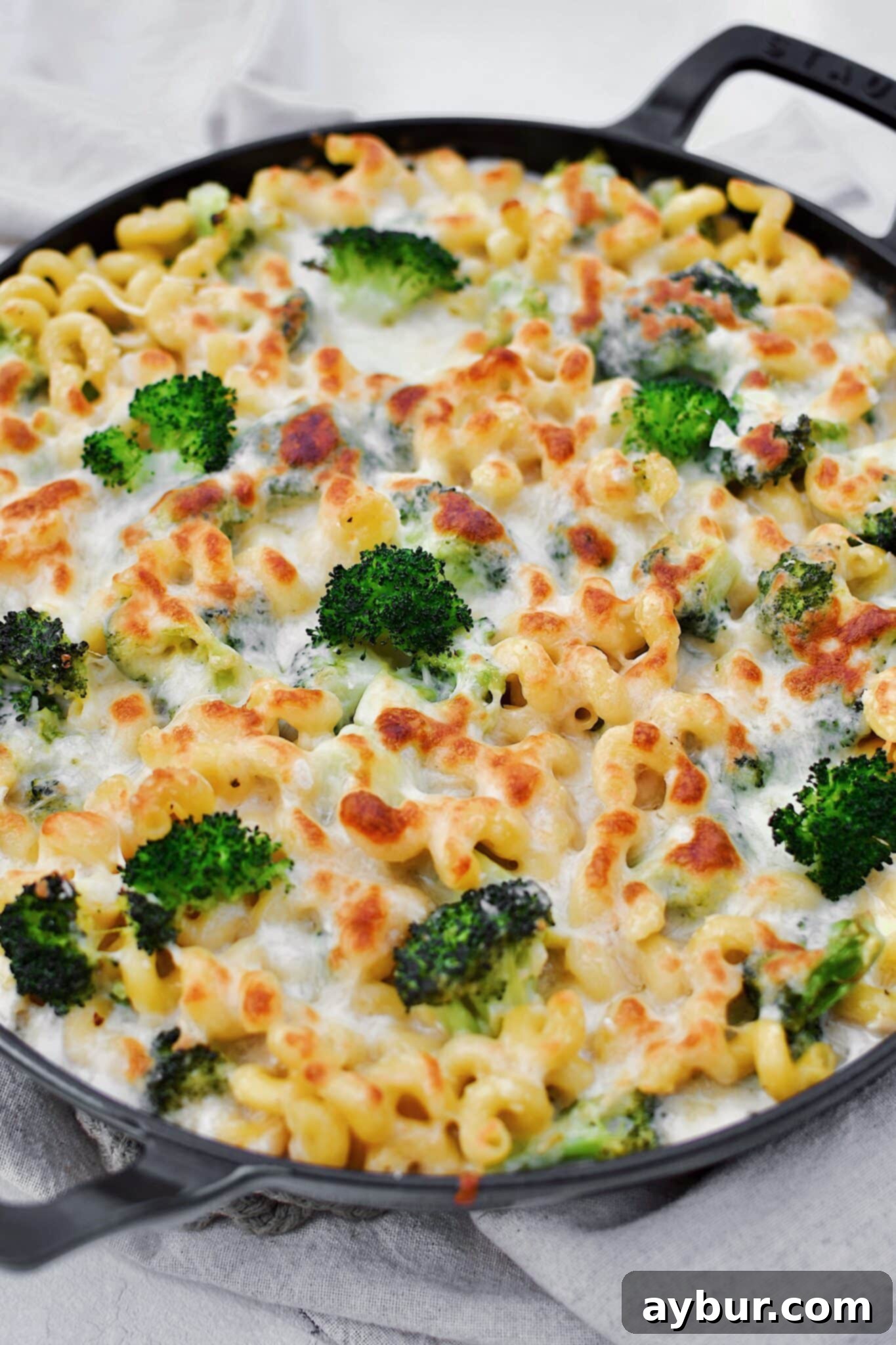 Alfredo Broccoli Pasta in the baking dish after baking to golden brown.