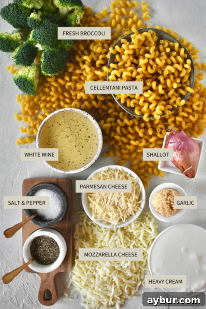 Ingredients needed to make Alfredo Broccoli Pasta.