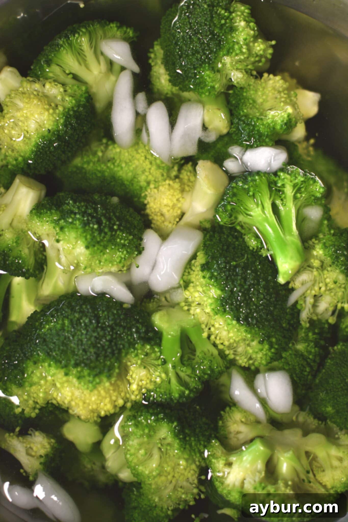 Shocking the blanched broccoli in ice water to stop the cooking.