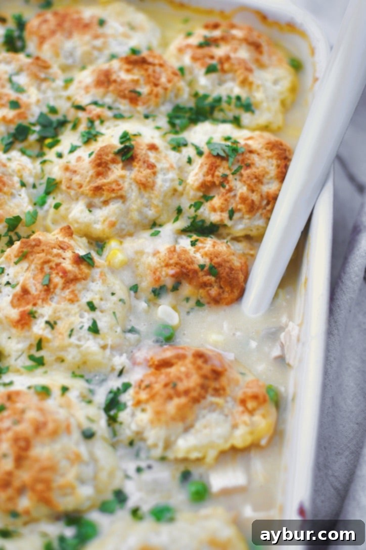 A generous serving of golden-brown Chicken and Biscuits Casserole, topped with fresh parsley, ready to be enjoyed as the ultimate comfort food.