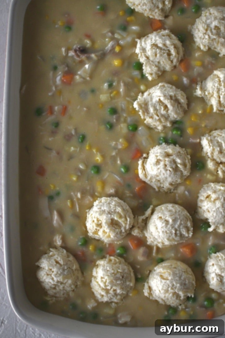 The assembled chicken and biscuits casserole, topped with cheesy biscuits, perfectly ready for the oven.