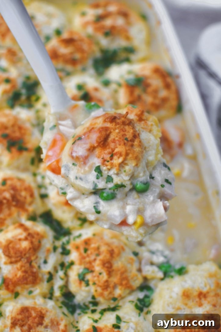 A close-up shot of a single serving of Chicken and Biscuits in a rustic bowl, showcasing the rich, creamy filling and flaky cheesy biscuit topping, ready to be devoured.