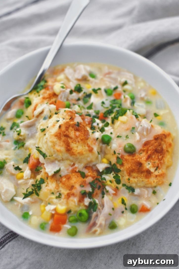 A beautiful bowl of Chicken and Biscuits, showcasing the hearty, creamy filling and the golden, fluffy cheesy biscuit topping, ready to be served and enjoyed as a satisfying meal.