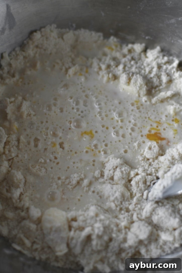 Mixing the biscuit dough until a sticky, shaggy mass forms, being careful not to overmix.