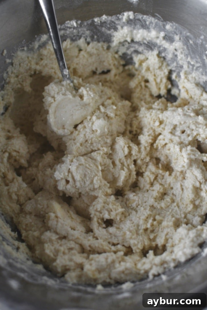 Folding shredded white cheddar cheese into the prepared biscuit dough, ensuring even distribution.