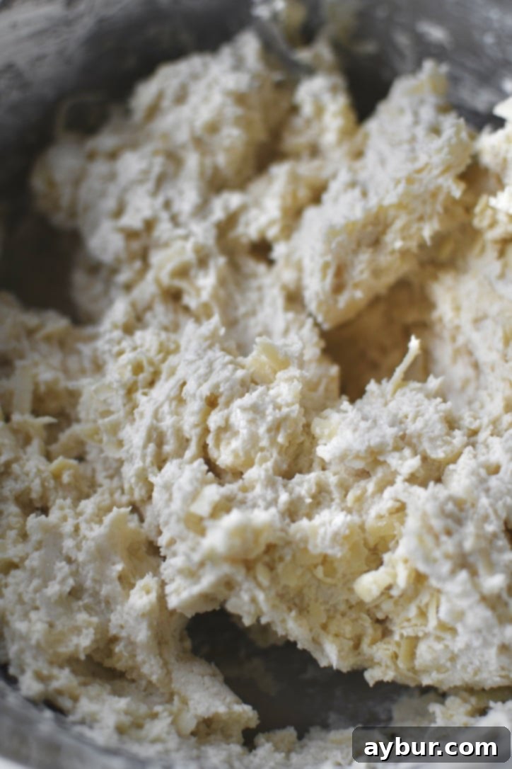 The prepared biscuit dough chilling in a covered bowl in the refrigerator.