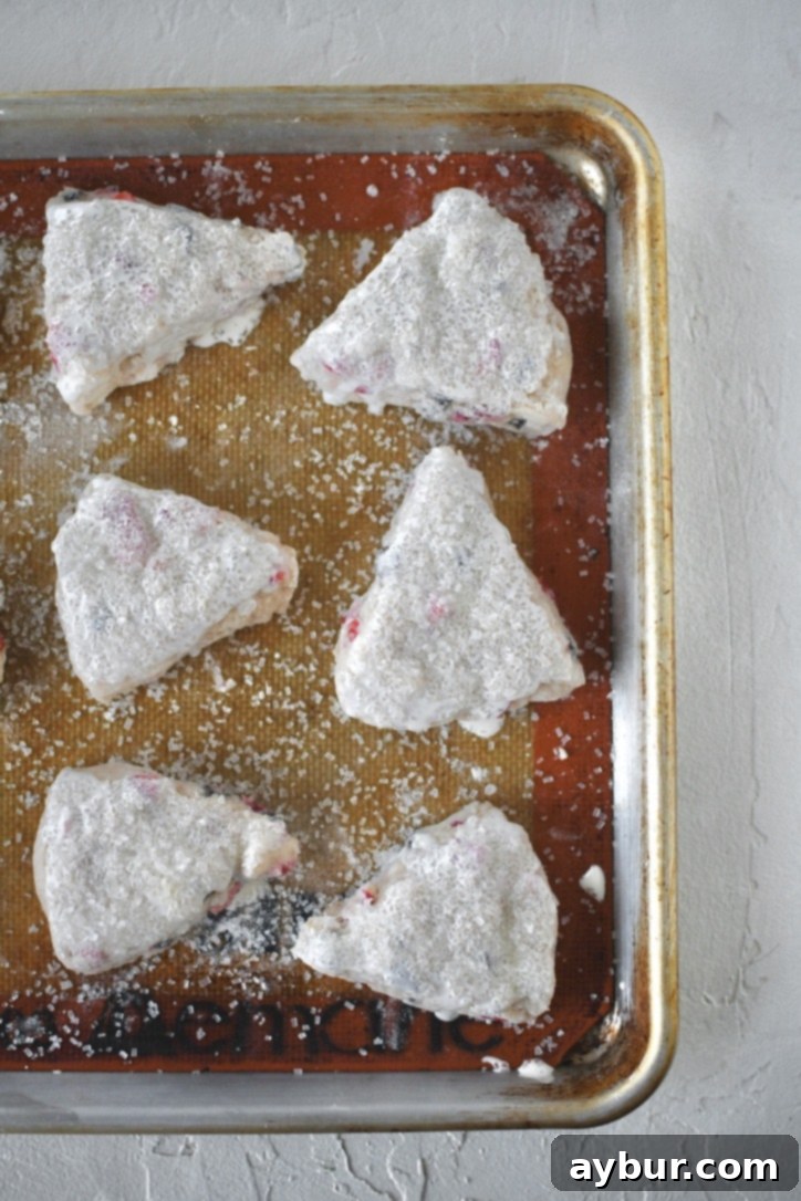 Chilled triangular scones brushed with heavy cream and topped with sanding sugar, ready for baking.