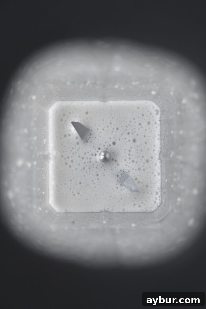 Creamy Homemade Hummus Perfection 5 Lemon and Garlic that have been blended in a high speed blender at the first step of making hummus.