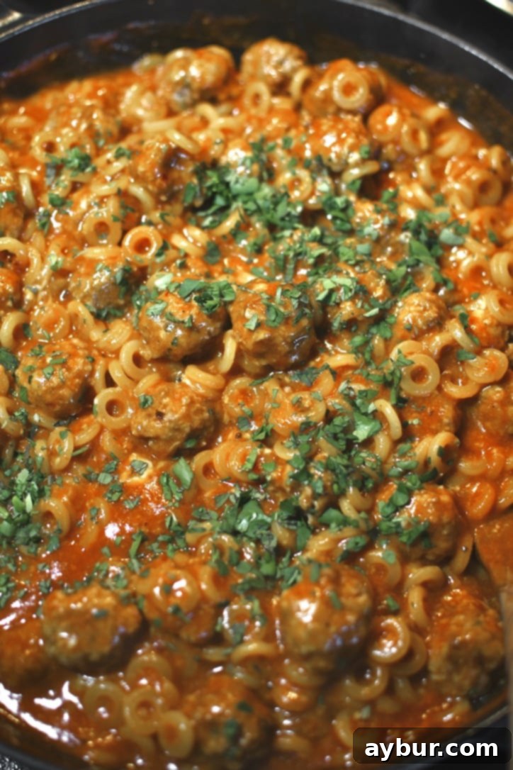 Gently stirred in meatballs to the pasta and sauce, adding the fresh parsley and oregano.