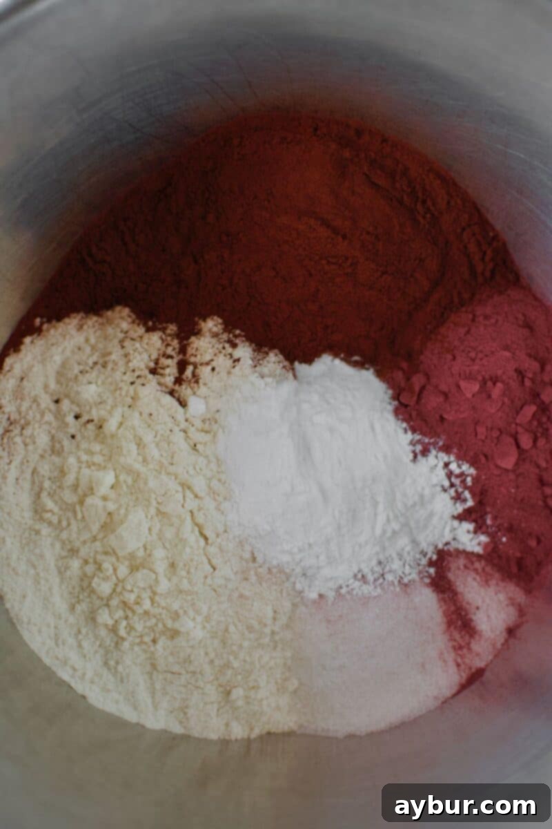 All dry ingredients placed in a bowl.