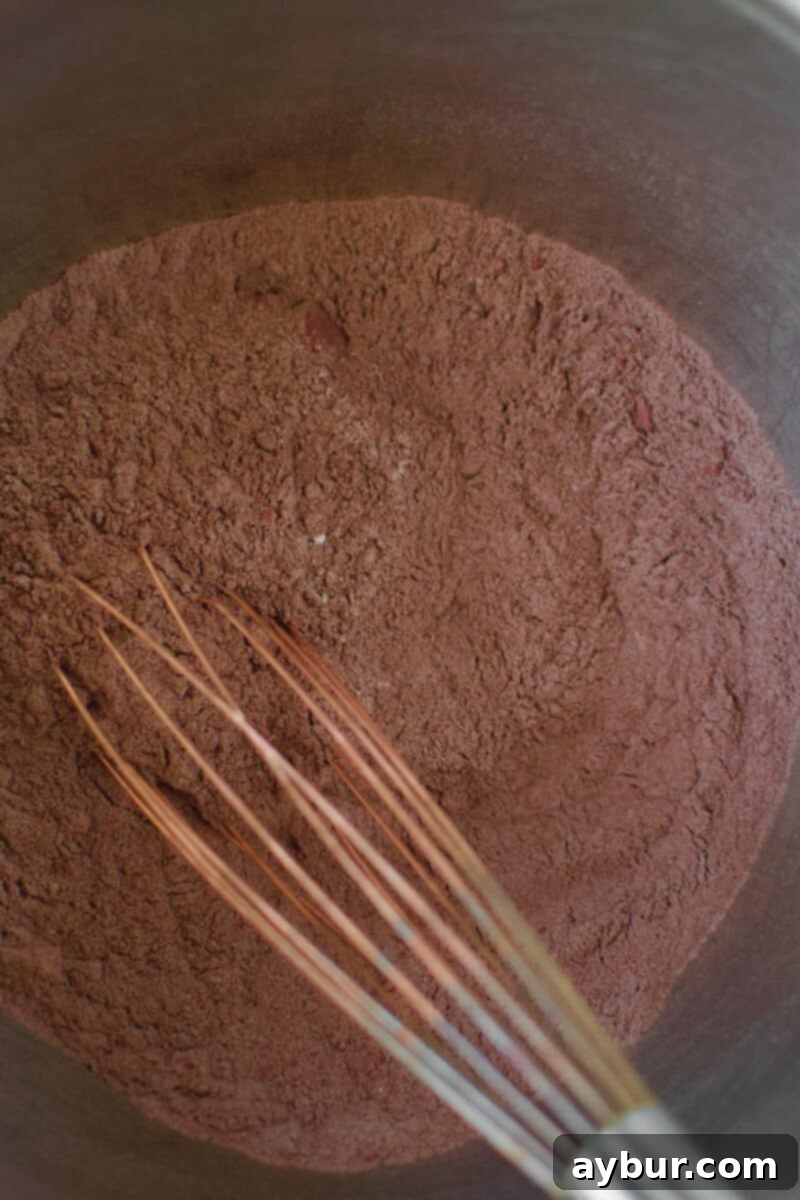All dry ingredients placed in a bowl and whisked together.
