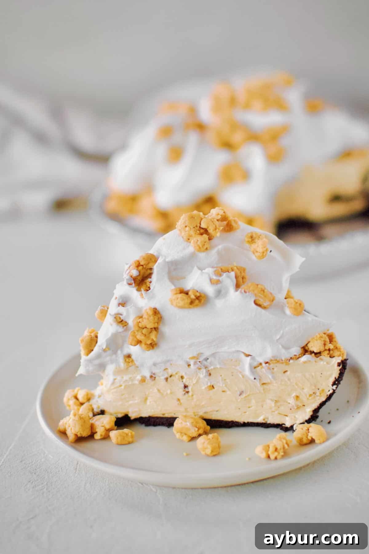 Peanut Butter Paradise Pie 2 A beautifully finished No-Bake Peanut Butter Pie, with one slice carefully removed to showcase its creamy layers and chocolate crust. Ready to be served.