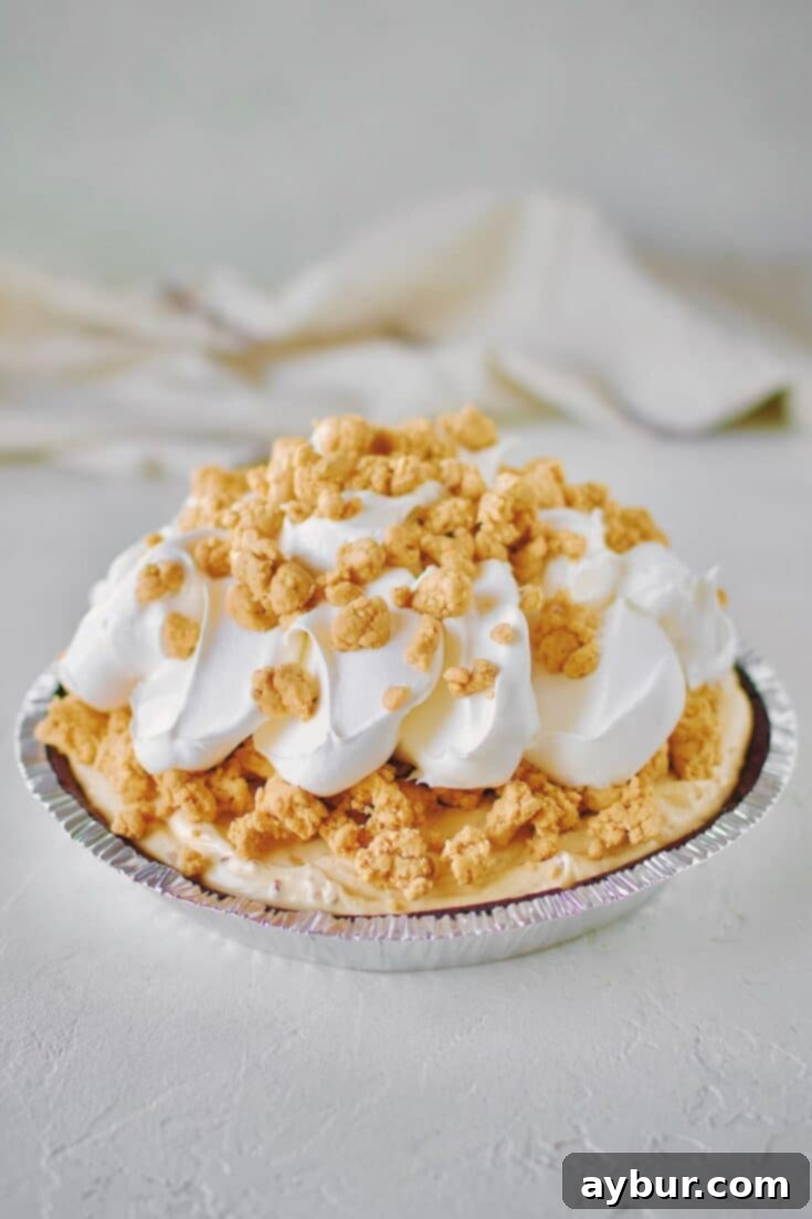 Peanut Butter Paradise Pie 14 Finished No Bake Peanut Butter Pie ready to be enjoyed.