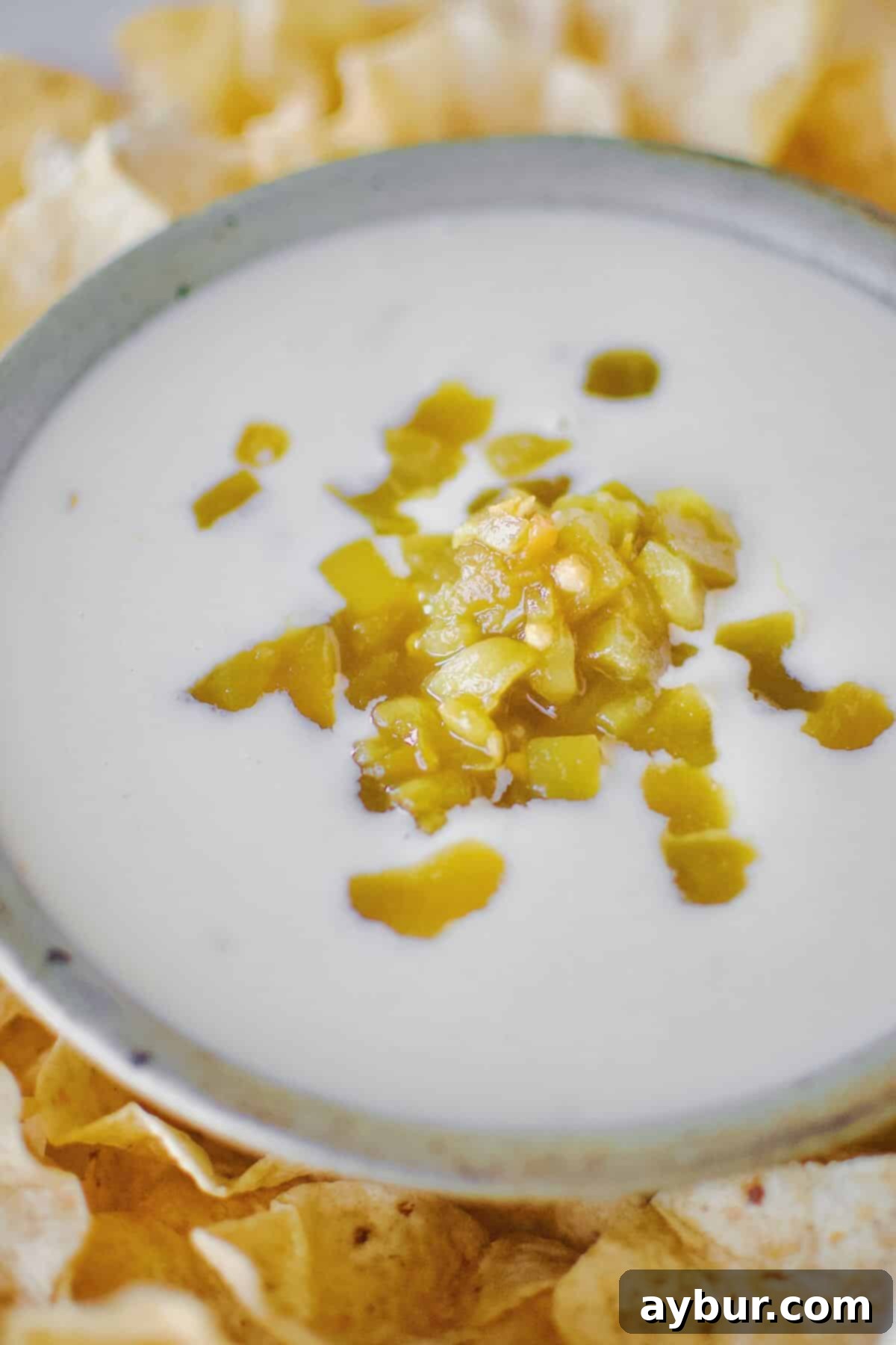 Creamy White Queso 2 A generous bowl of creamy White Queso Dip, garnished with diced green chilis and surrounded by crispy tortilla chips, ready for dipping.