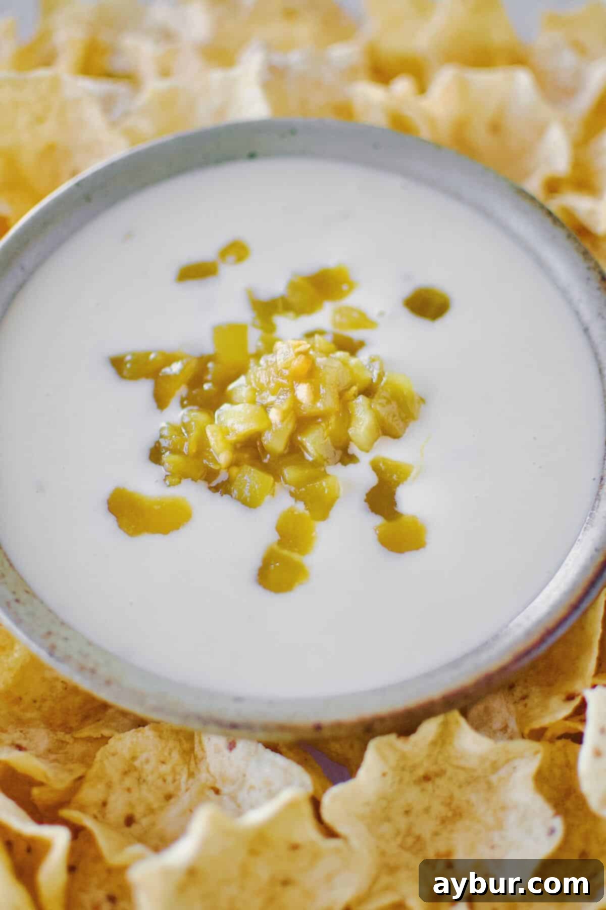 Creamy White Queso 12 A bowl of hot, creamy White Queso Dip, artfully topped with fresh green chilis, nestled amongst a generous scattering of crispy tortilla chips on a rustic wooden table, ready for a delicious snack or party appetizer.