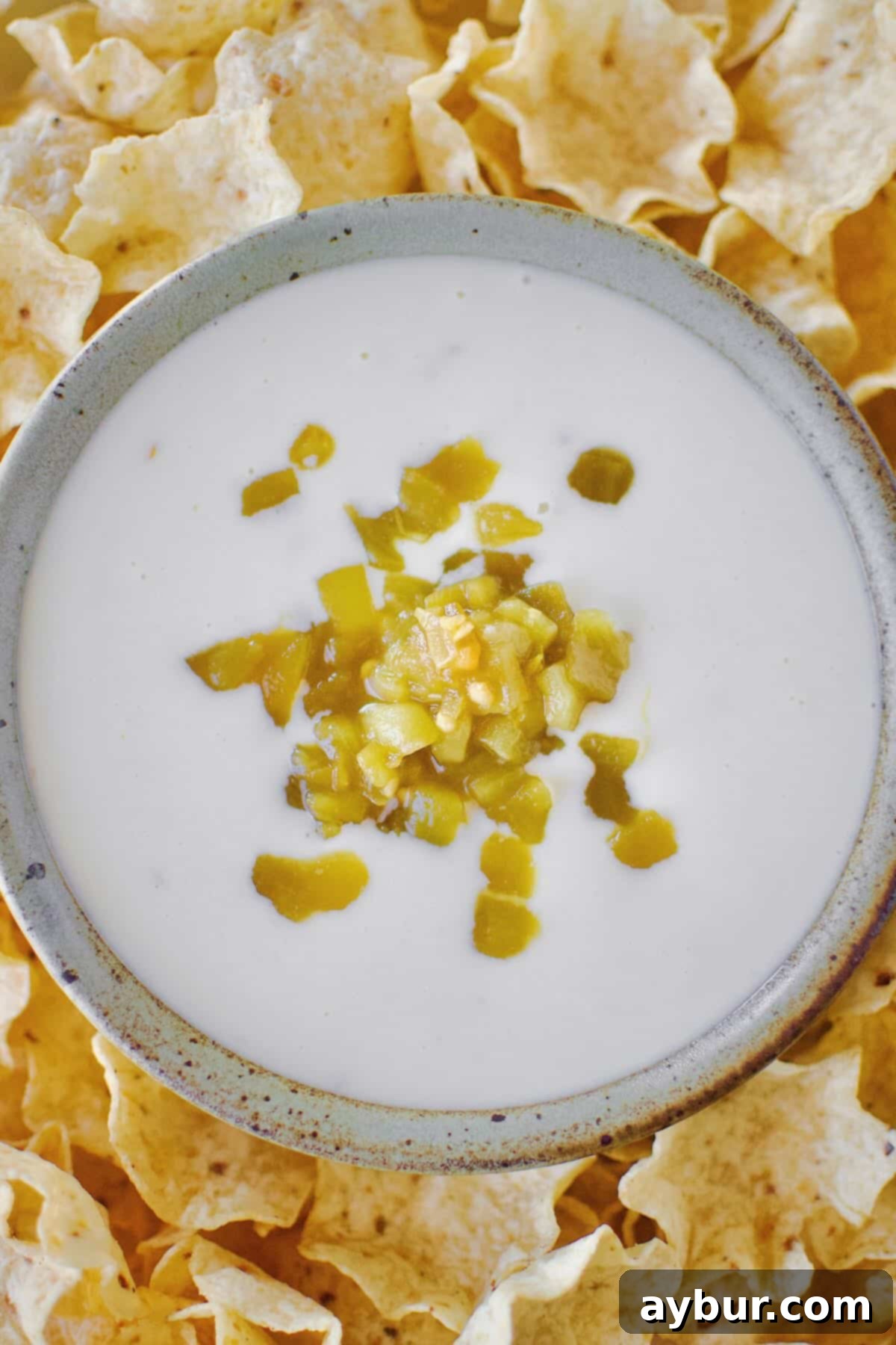 Creamy White Queso 8 A beautifully presented bowl of creamy White Queso Dip, generously topped with vibrant green chilis, surrounded by a medley of colorful tortilla chips, inviting immediate enjoyment.