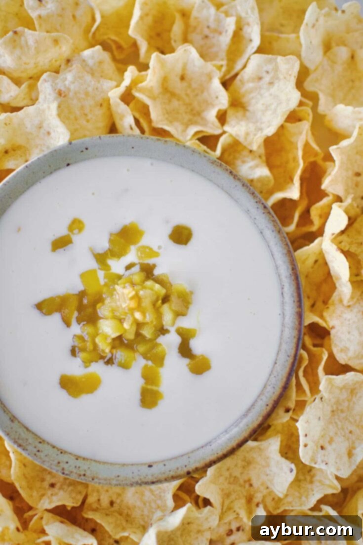 Creamy White Queso 10 A bowl of creamy White Queso Dip, garnished with green chilis and surrounded by a variety of tortilla chips, displayed on a rustic surface.