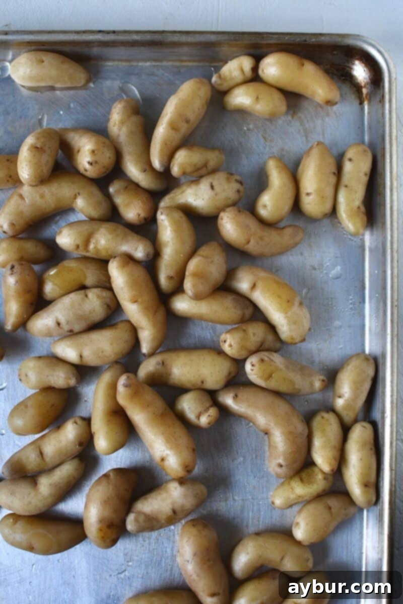 Boiled potatoes just out of the water.