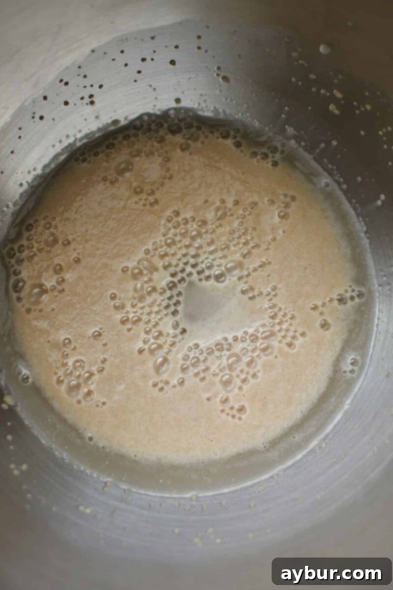 Blooming the yeast and sugar together in warm water, after the bloom.