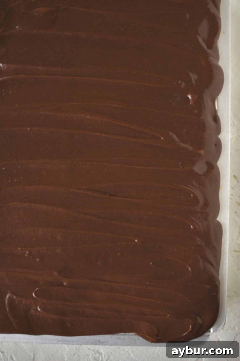 The finished Eclair Cake with a perfectly smooth, evenly spread layer of chocolate frosting covering the entire top surface.