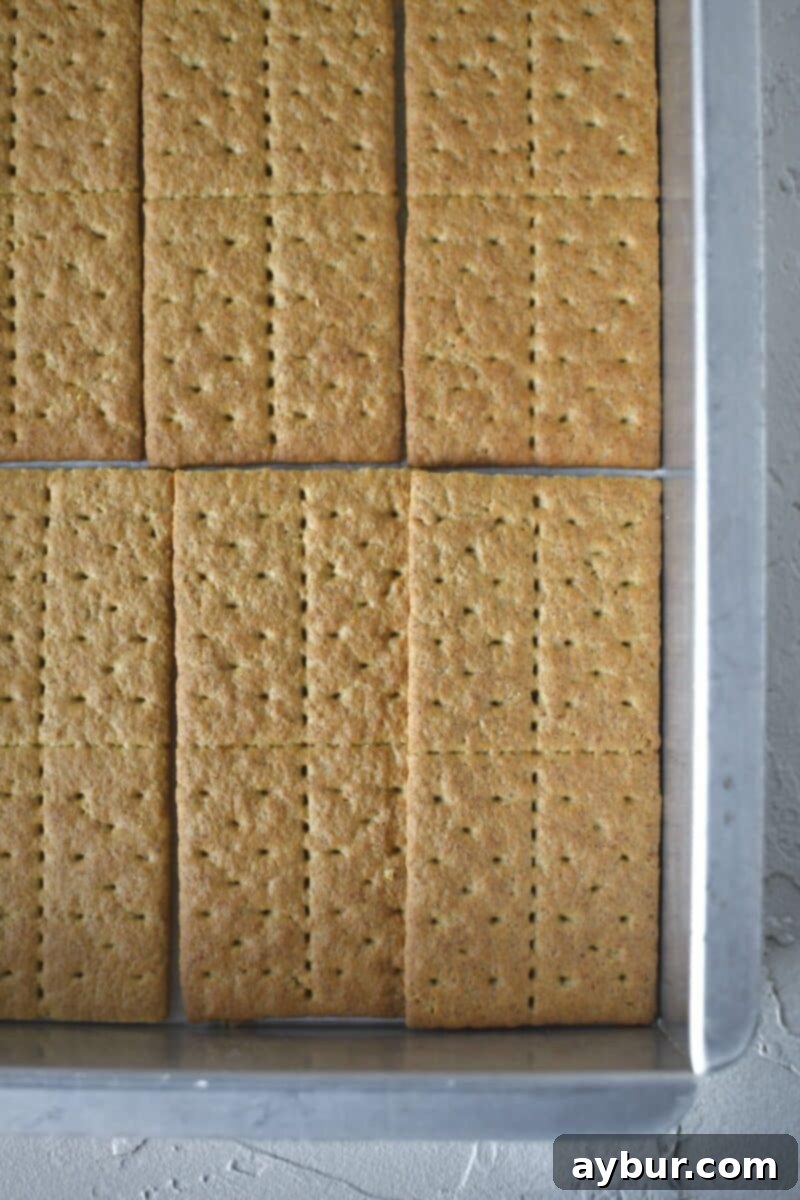 The first layer of graham crackers neatly arranged in the bottom of a 9x13 inch baking pan, forming the base of the eclair cake.