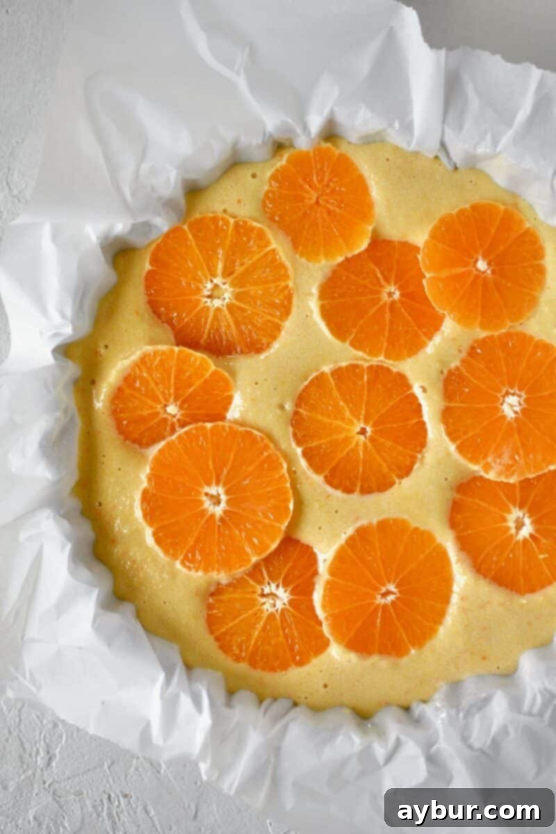 Carefully arranging thin tangerine slices over the cake batter before it goes into the oven for baking.