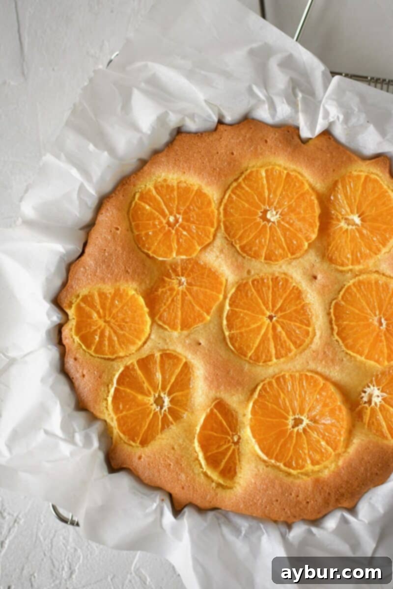 The golden-brown Tangerine Cake fresh out of the oven, smelling wonderfully aromatic and ready for its finishing touches.