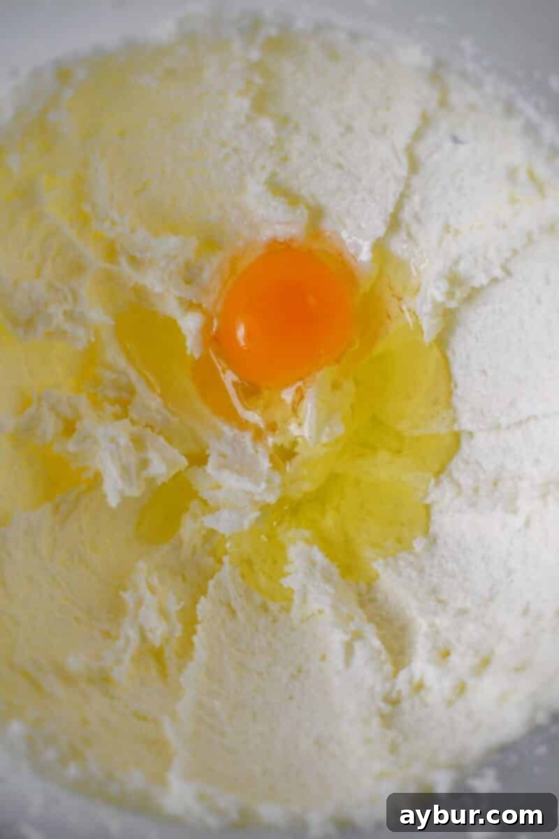 Spiced Carrot Cake Cookies 5 Creamed sugar and butter, light and airy, now adding the egg to combine perfectly.