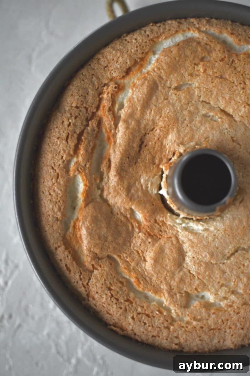 Cake just out of the oven, baked to a beautiful golden brown.