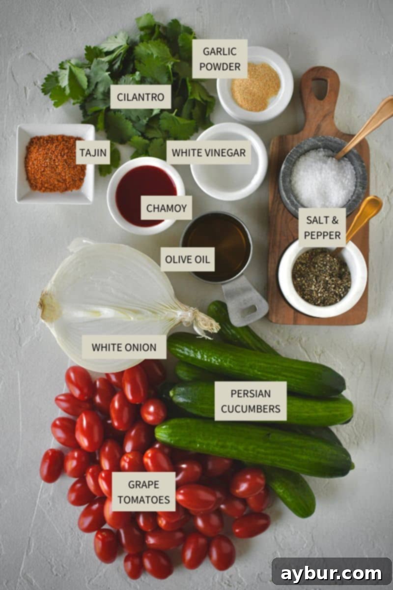 Fresh Garden Medley 3 Selection of fresh ingredients including Persian cucumbers, grape tomatoes, white onion, fresh cilantro, olive oil, white vinegar, Chamoy, Tajin, salt, pepper, and garlic powder for the Mexican salad.