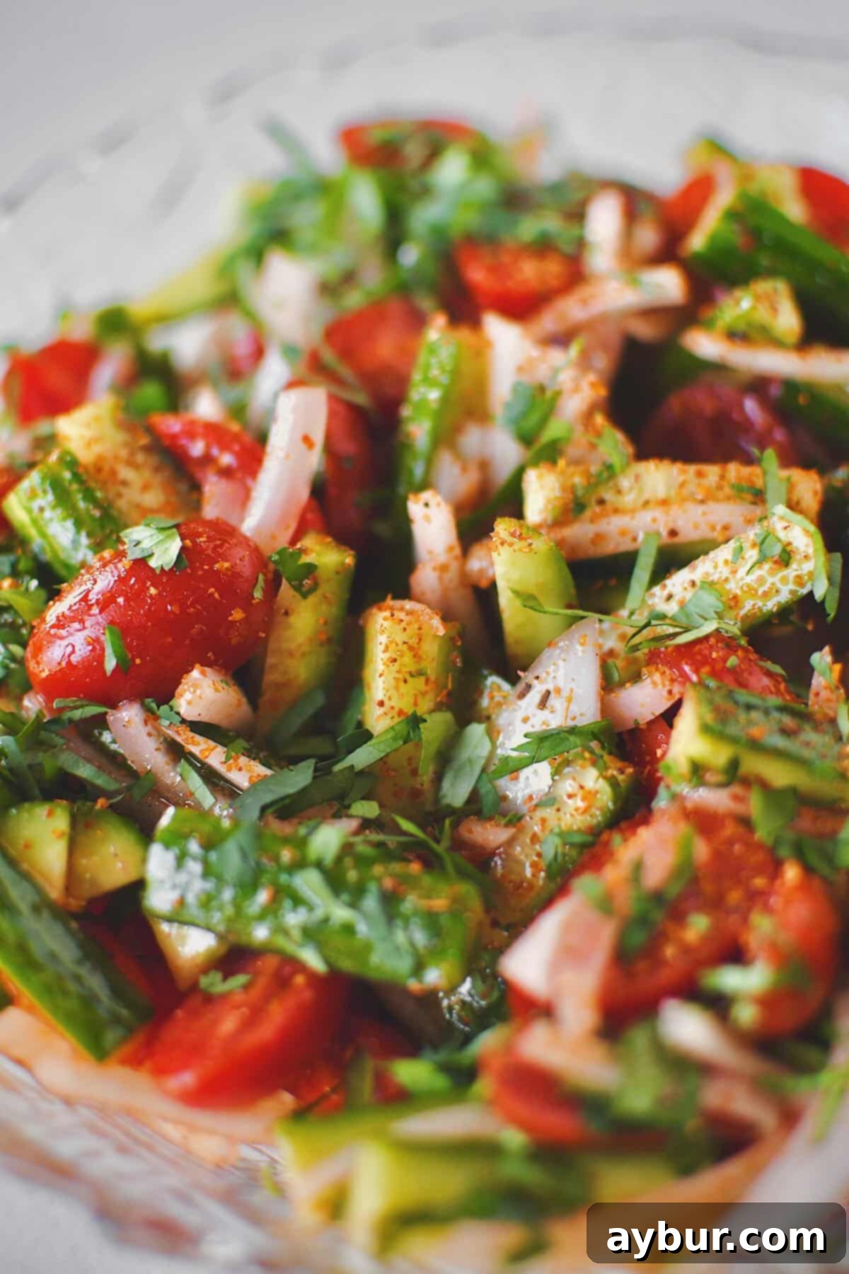 Fresh Garden Medley 10 Beautifully presented Cucumber, Tomato, and Onion Salad, thoroughly marinated and garnished with fresh cilantro, highlighting its vibrant appeal as a healthy and flavorful side dish.