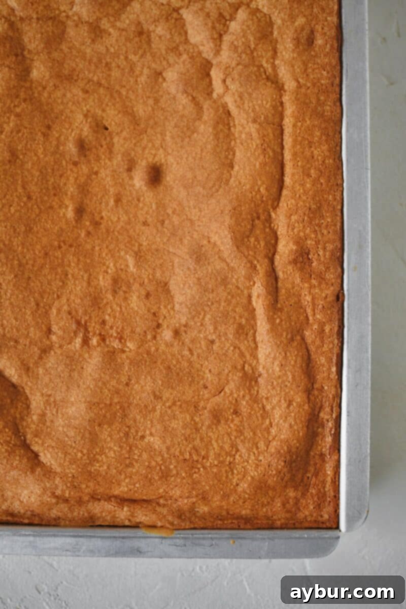 Freshly baked cake just out of the oven.