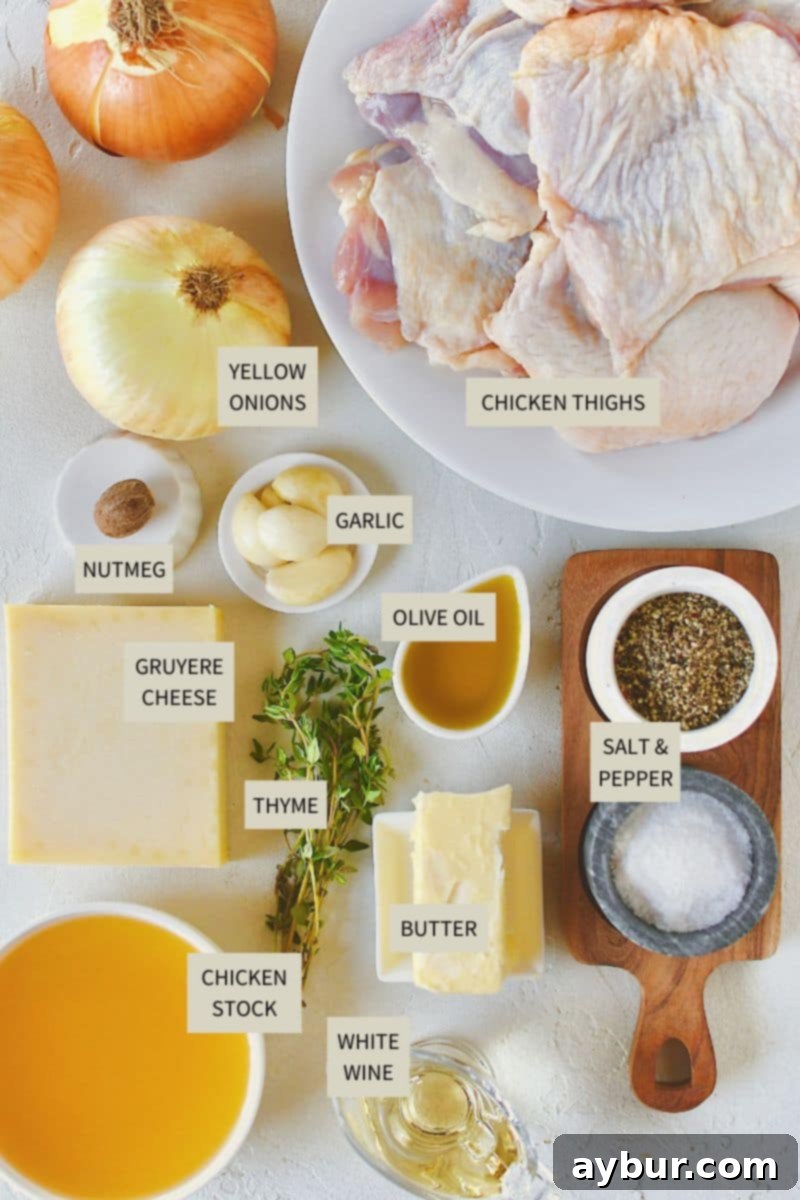 Caramelized French Onion Chicken 3 All the fresh ingredients neatly arranged on a countertop, ready to make French Onion Chicken, including chicken thighs, sweet onions, butter, and seasonings.